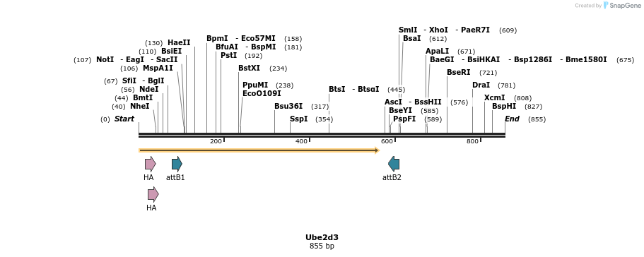 37215_map