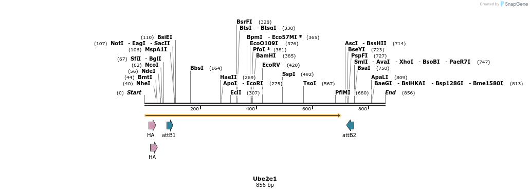 37217_map