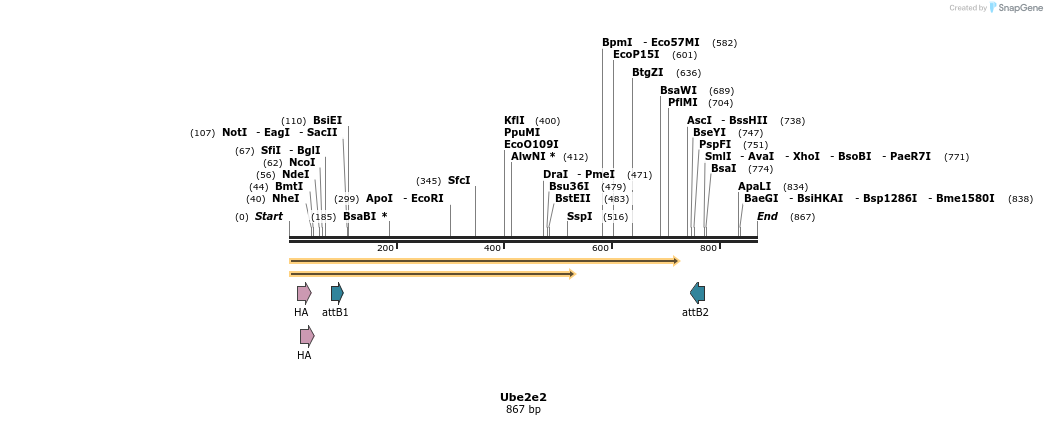 37218_map
