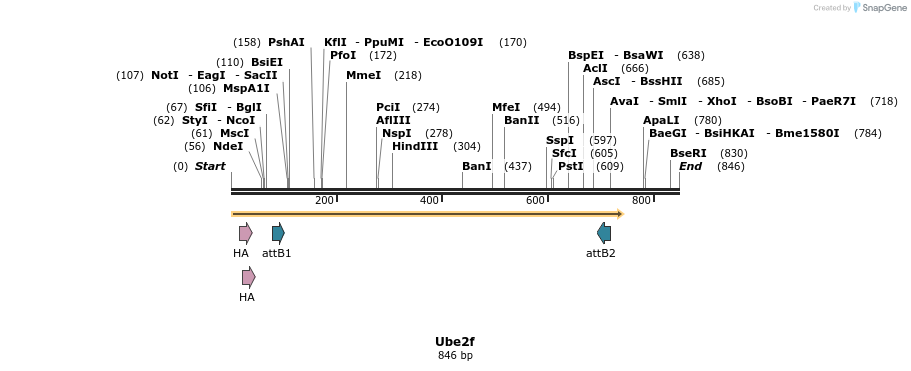 37219_map