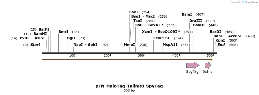 372196_map