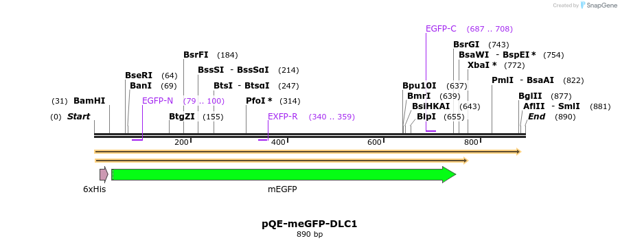 372203_map