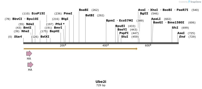 37223_map