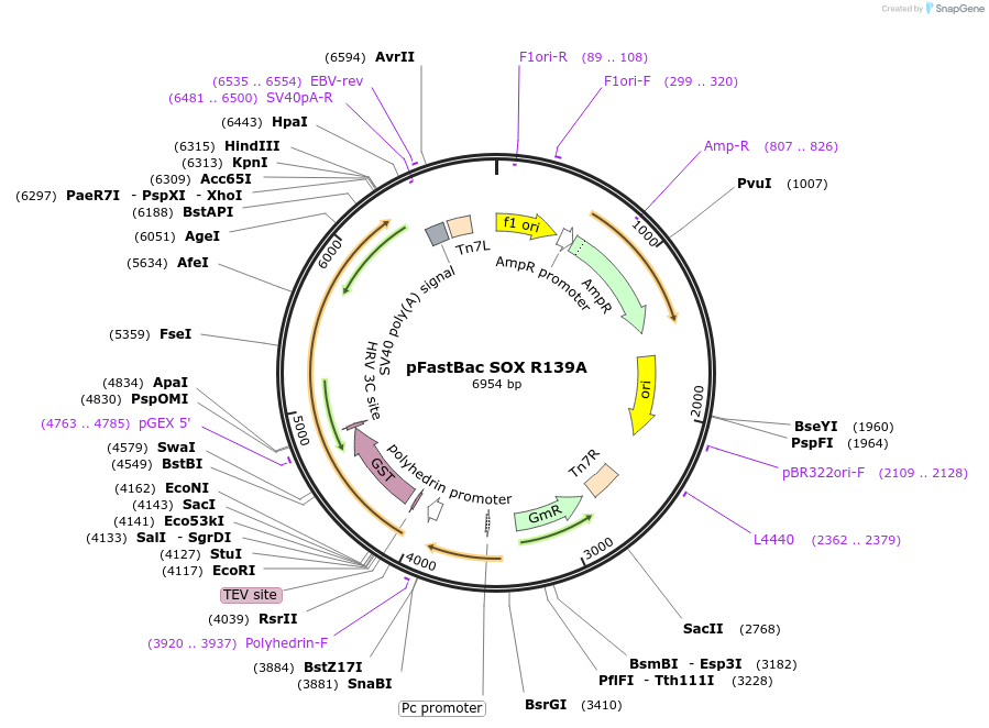 372250_map
