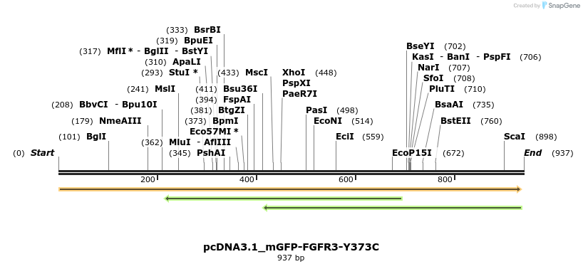 372311_map