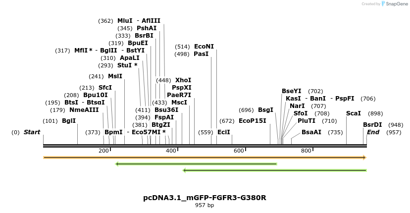 372312_map