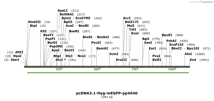 372315_map