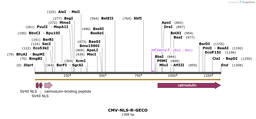 37232_map