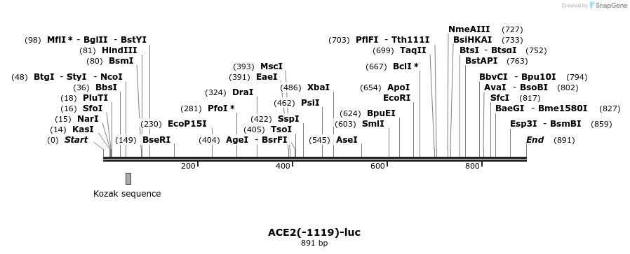 37254_map