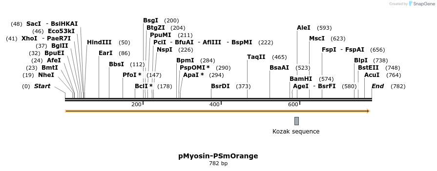 37270_map