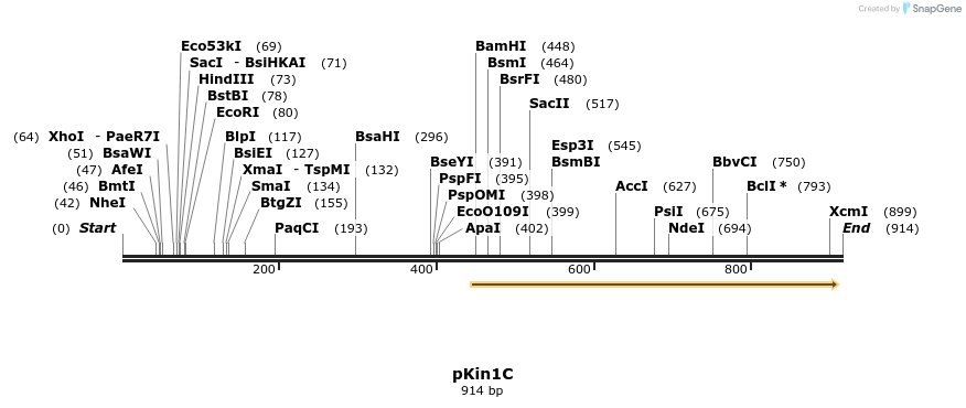 37271_map