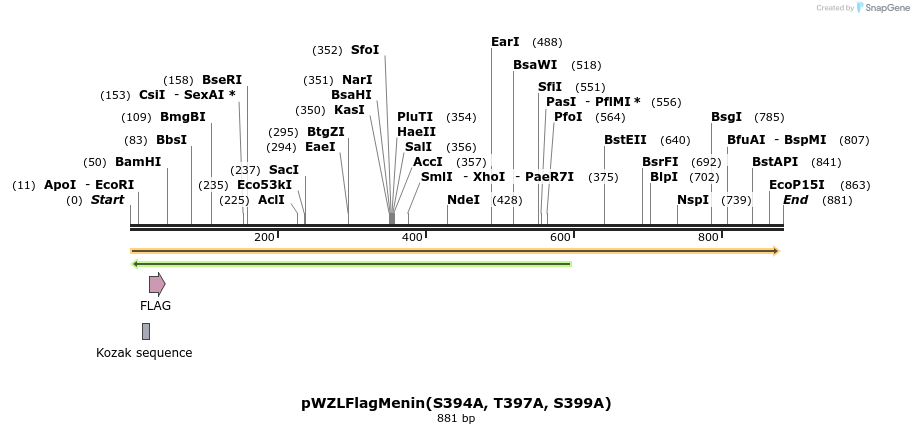 37283_map