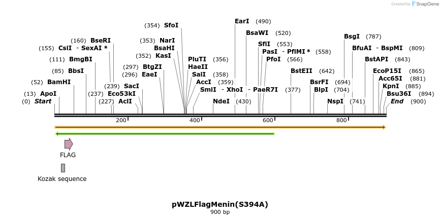 37285_map
