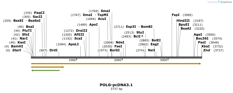 372901_map