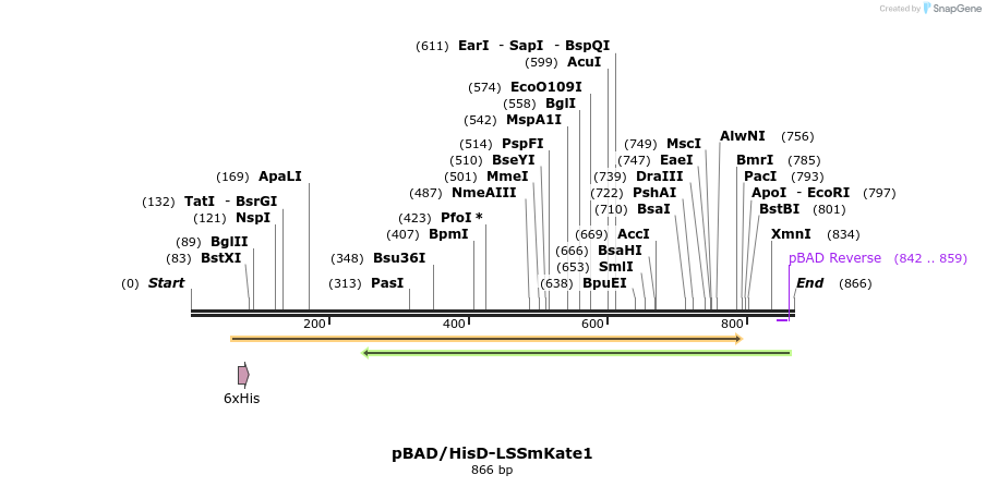 37303_map