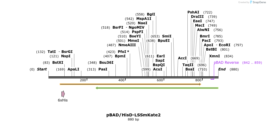37304_map