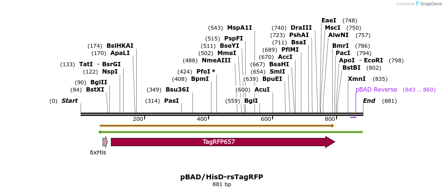 37305_map