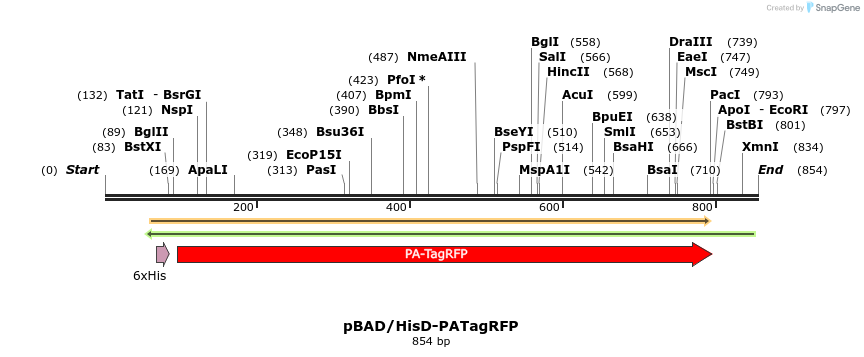 37306_map