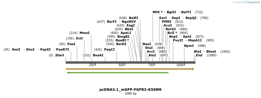 373067_map