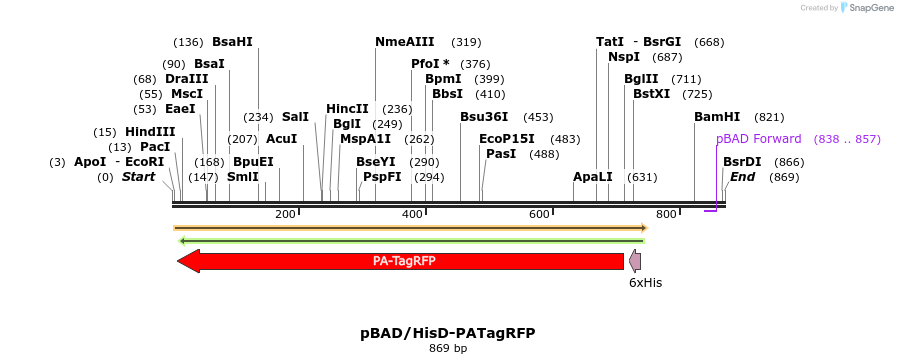 37307_map