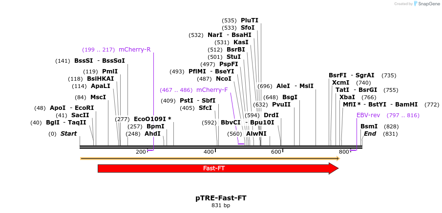 37308_map