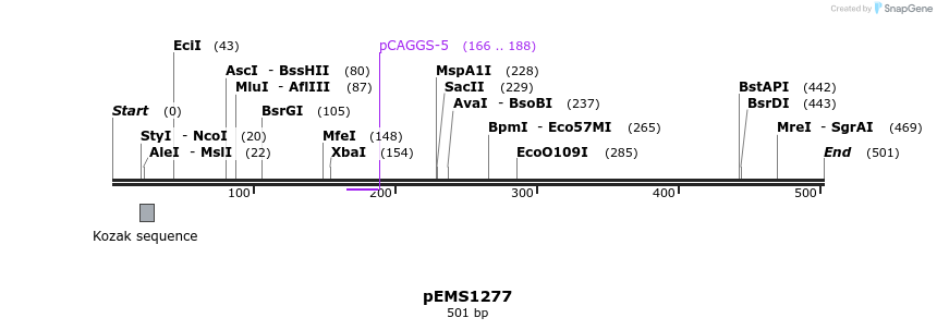 37309_map