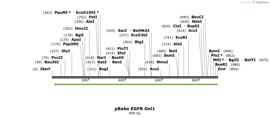 37310_map
