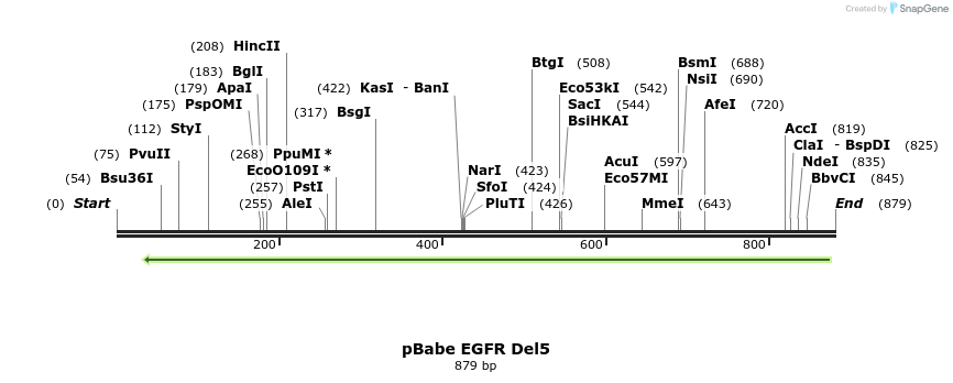 37311_map