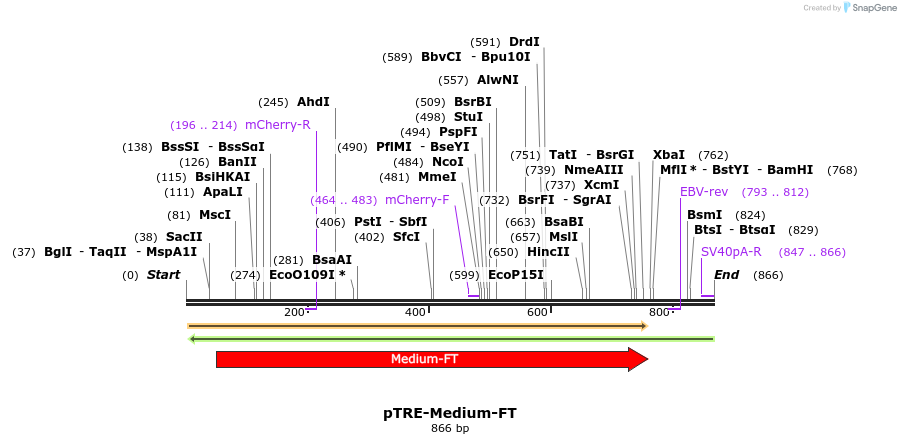 37312_map