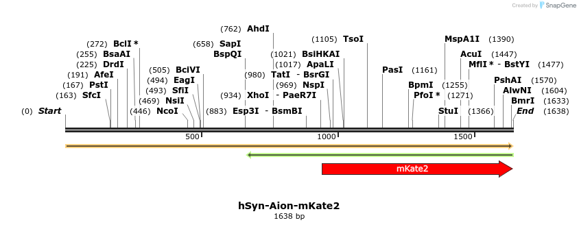 373139_map