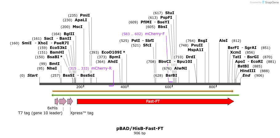 37314_map