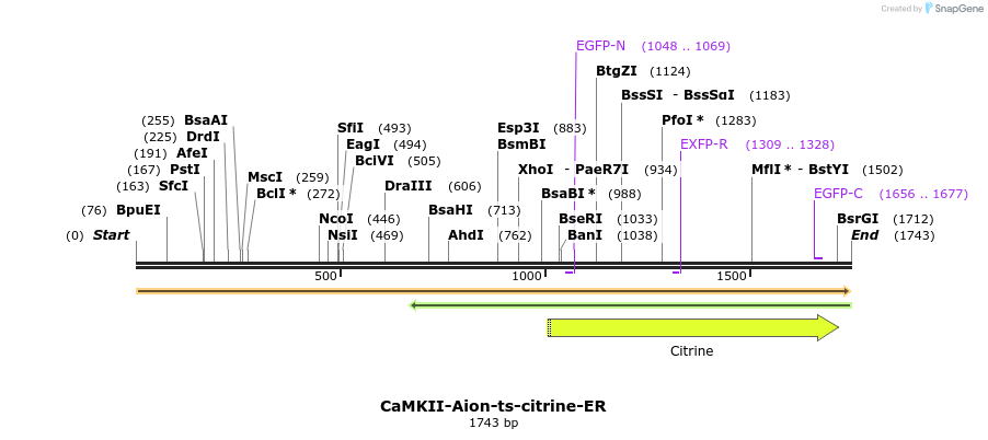 373141_map