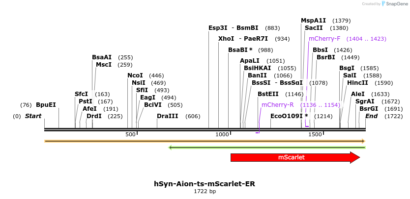 373142_map