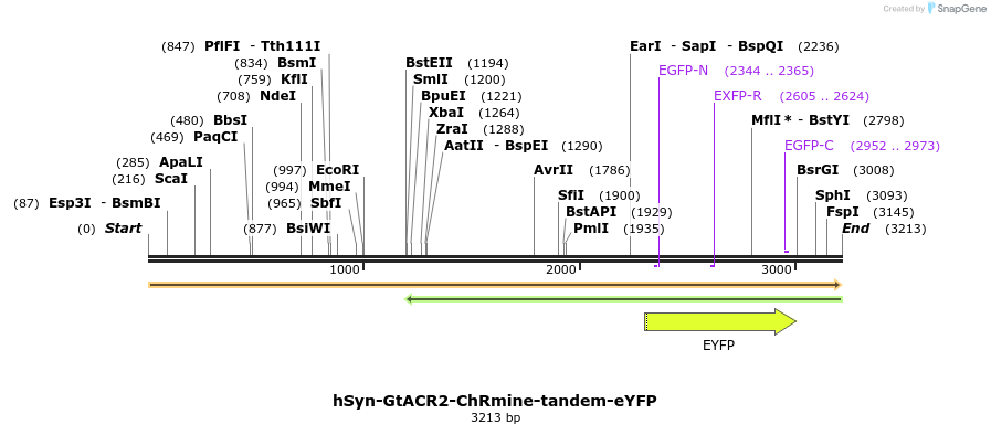 373145_map