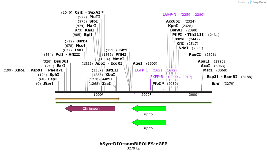 373149_map