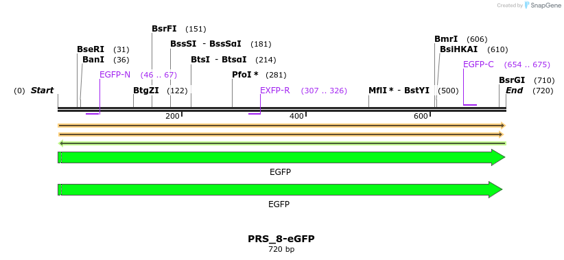 373154_map