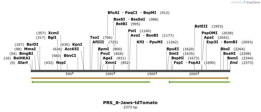 373158_map