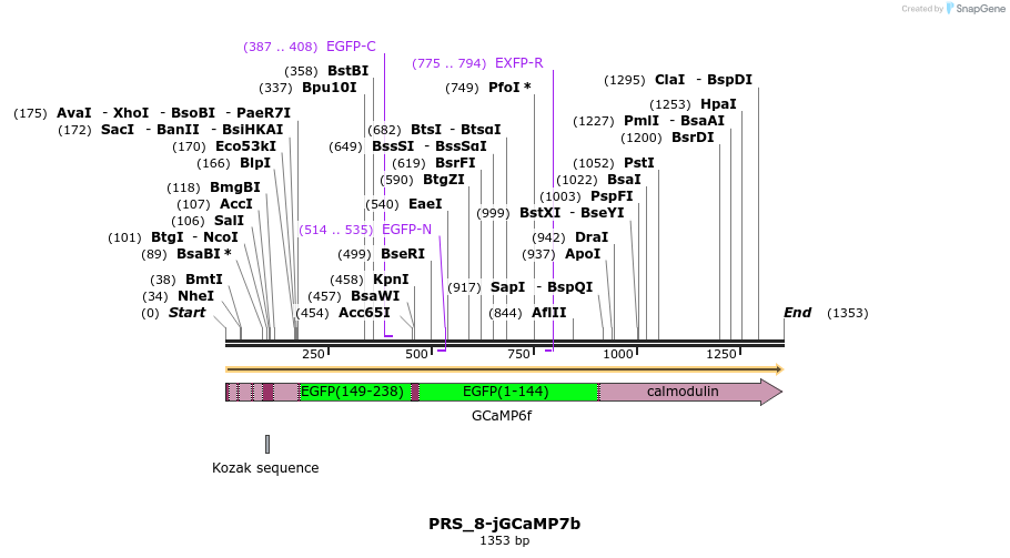 373159_map