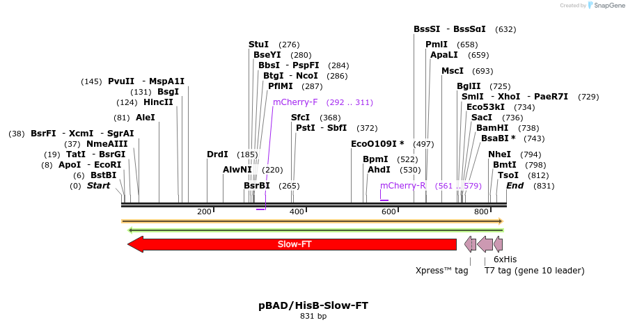 37318_map
