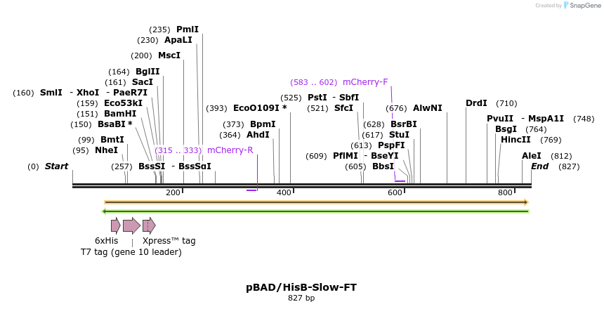 37319_map