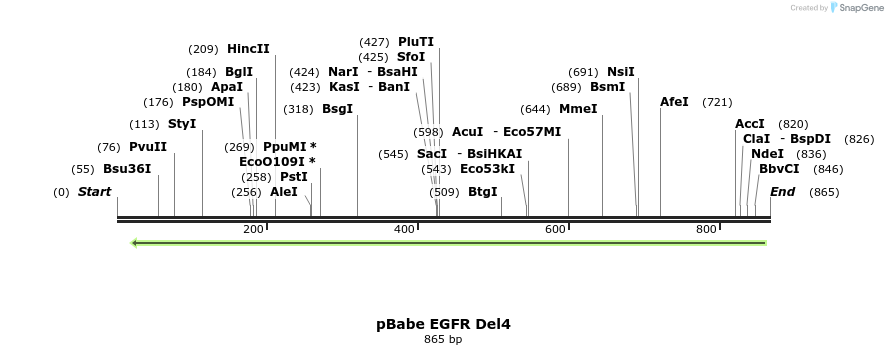 37321_map
