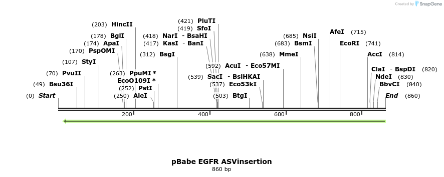 37323_map