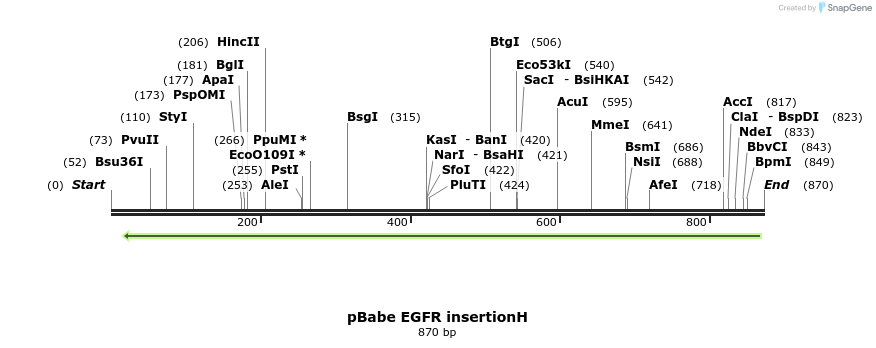 37324_map