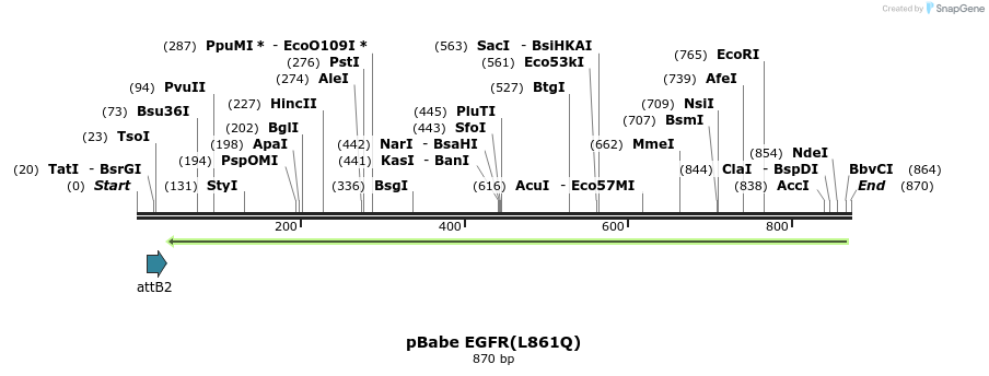 37325_map