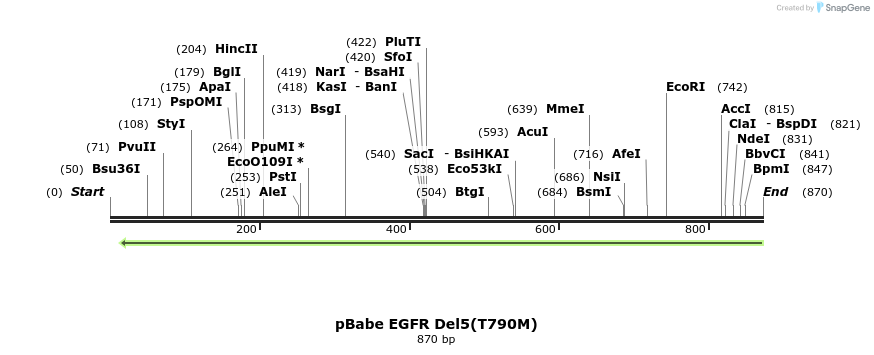 37326_map