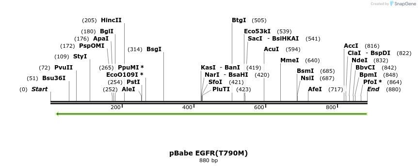 37327_map