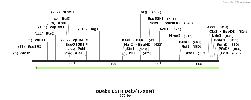 37329_map
