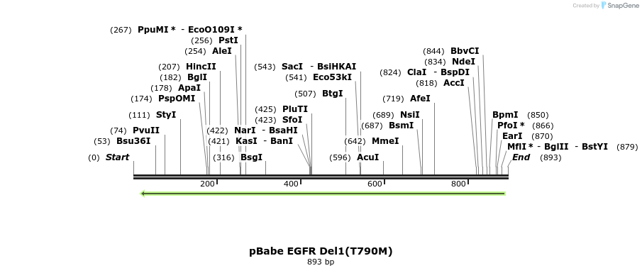 37330_map