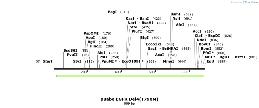 37332_map