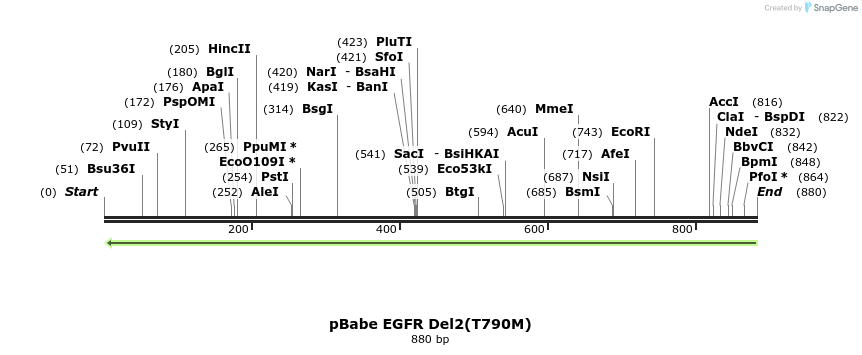 37333_map